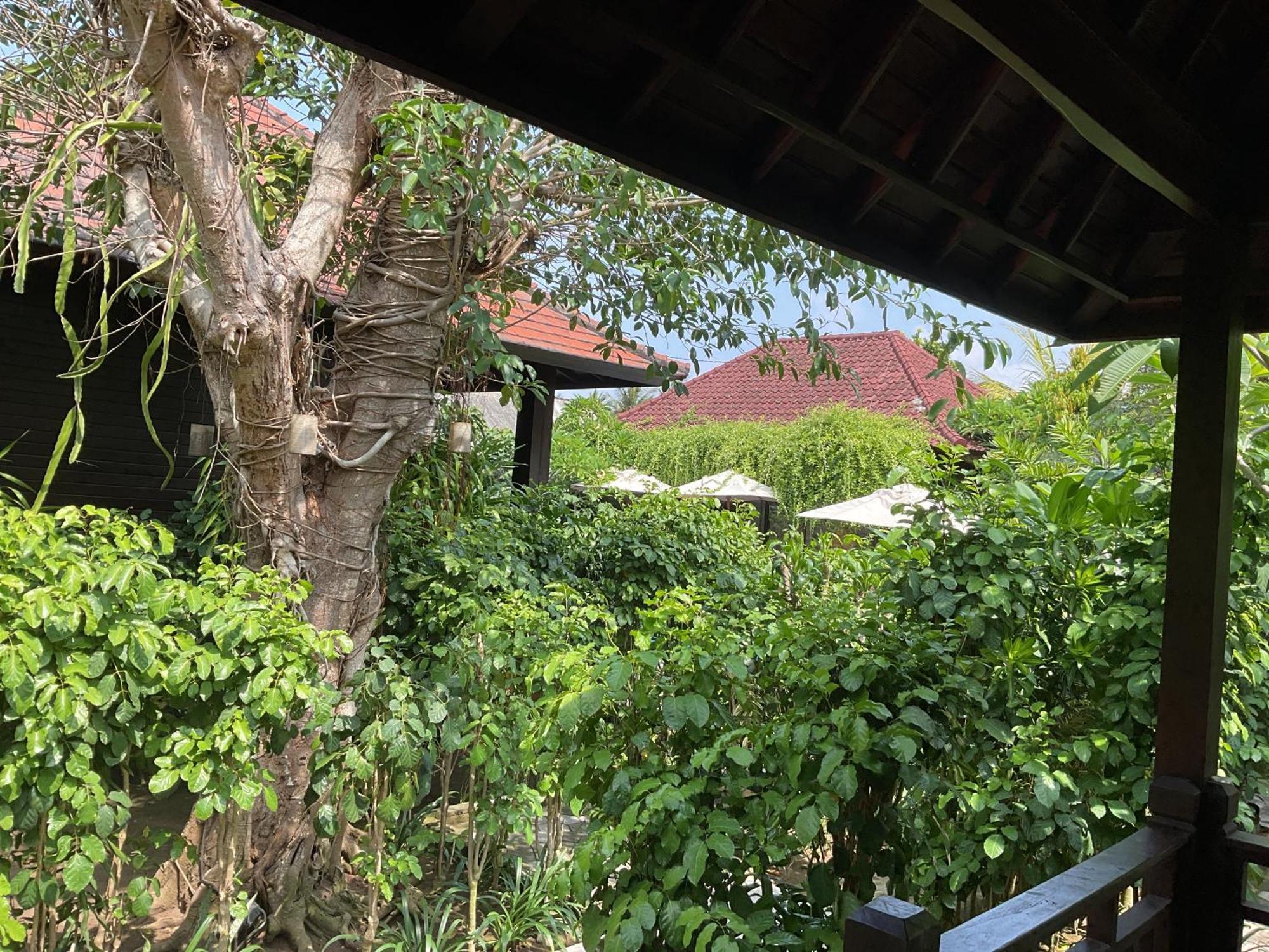 Bunutbali Villas88 レンボンガン島 エクステリア 写真